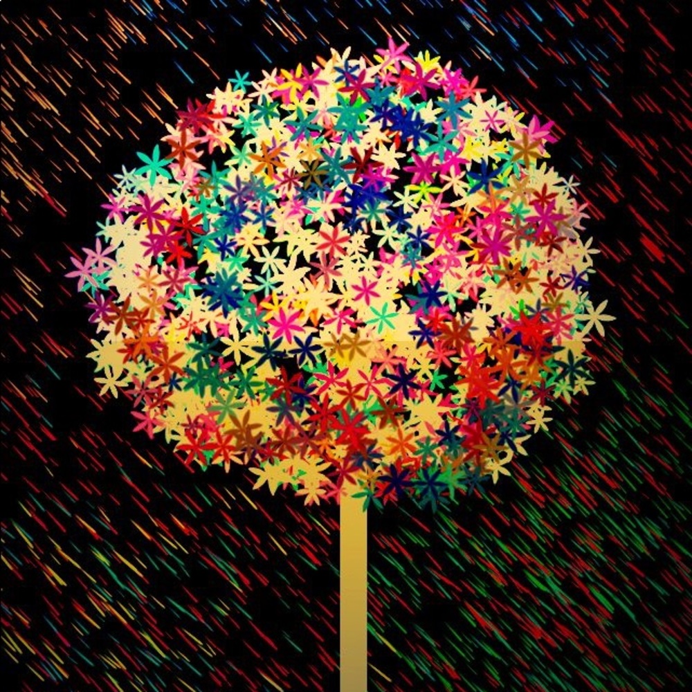 Meet your Posher, Ellie